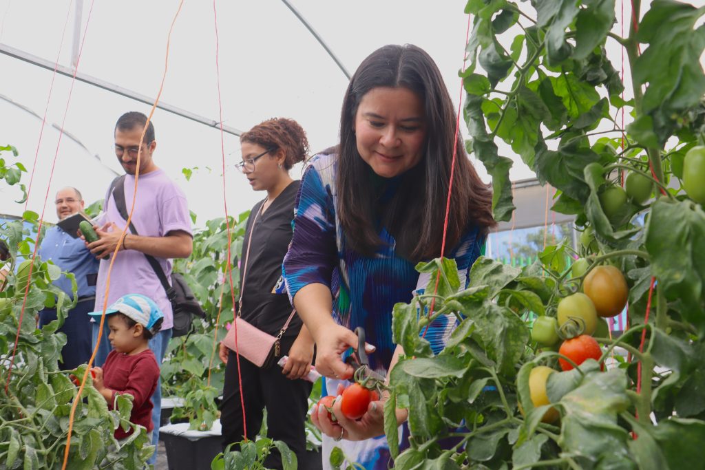 Se inaugura invernadero en el Centro de Recreación y Emprendimiento Social